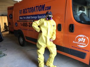 911 Restoration Mold Removal Bronx