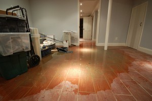 911 Restoration Water Damage Bronx